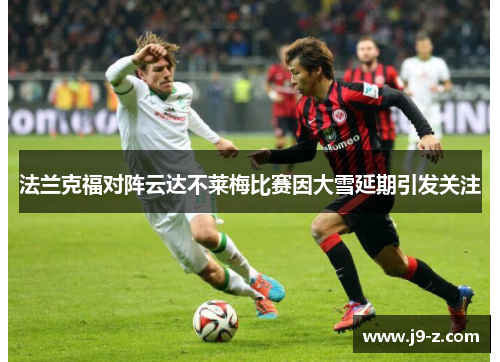 法兰克福对阵云达不莱梅比赛因大雪延期引发关注